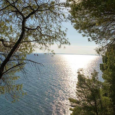 Squirrel Beach Front Villa, Metamorfosi ภายนอก รูปภาพ