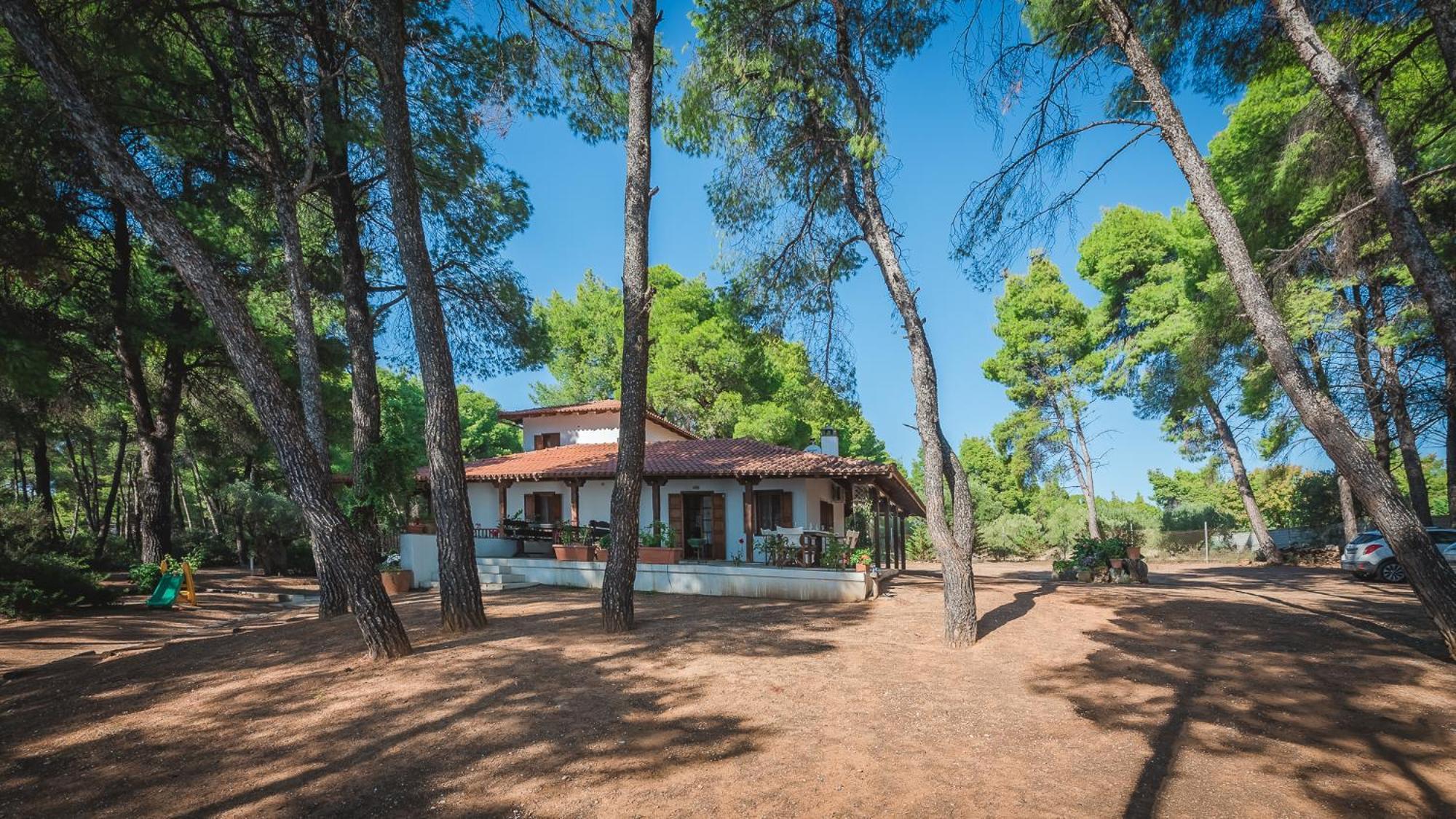 Squirrel Beach Front Villa, Metamorfosi ภายนอก รูปภาพ