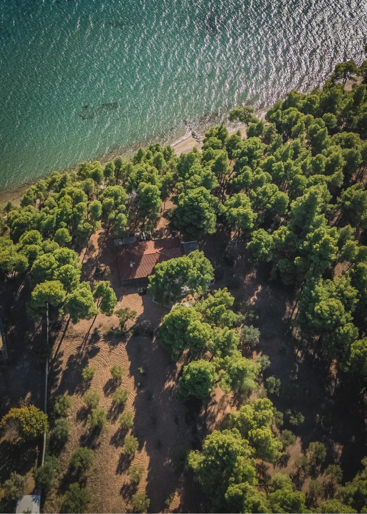 Squirrel Beach Front Villa, Metamorfosi ภายนอก รูปภาพ