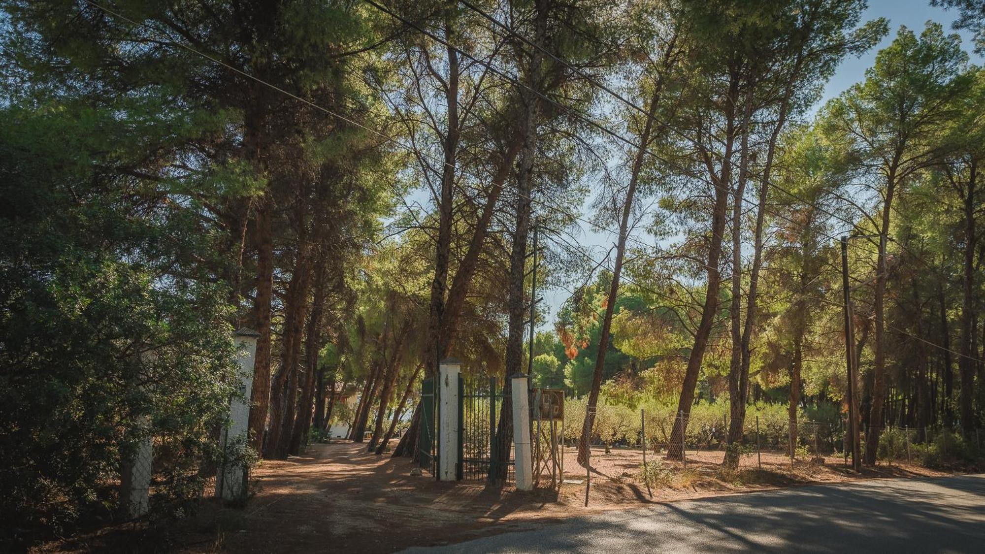 Squirrel Beach Front Villa, Metamorfosi ภายนอก รูปภาพ