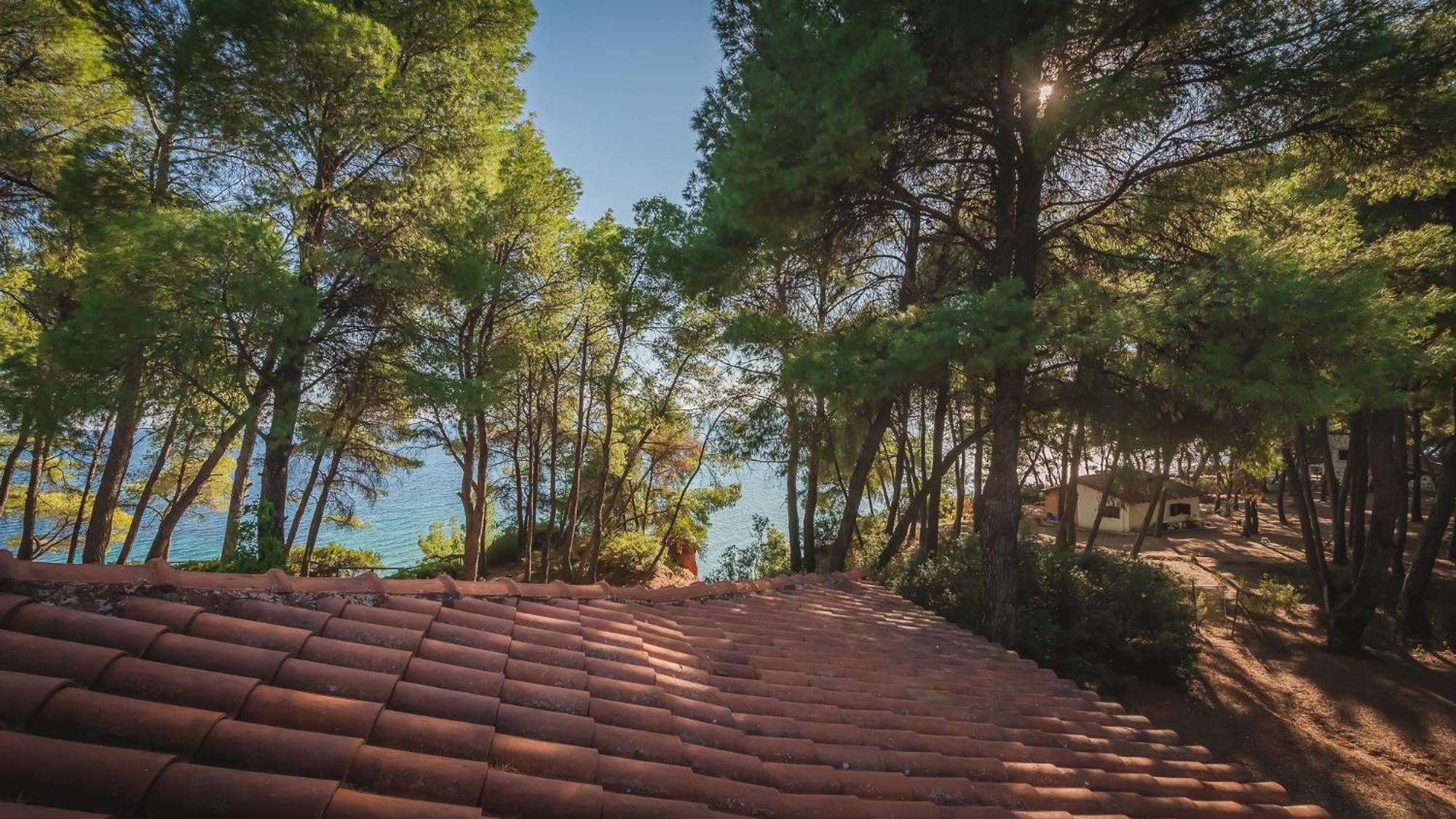 Squirrel Beach Front Villa, Metamorfosi ภายนอก รูปภาพ